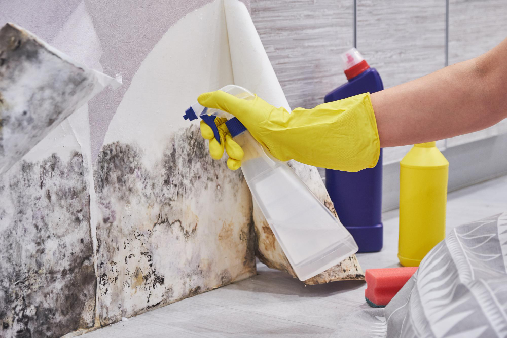 Spraying mould on a bathroom wall near the floor