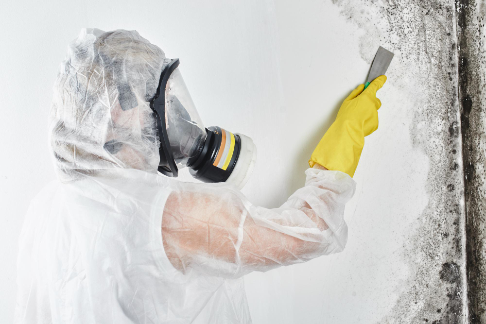 Technician in a respirator scraping black mould from a wall