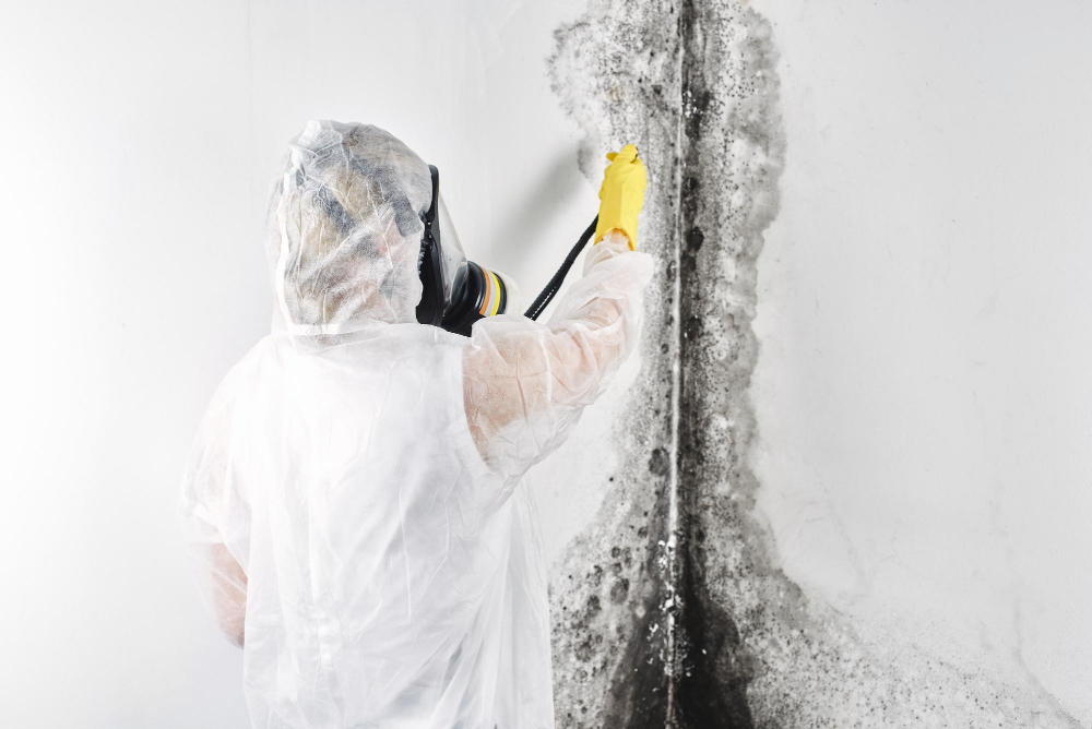 Mould removal technician in protective suit and respirator treating black mould on a Melbourne wall