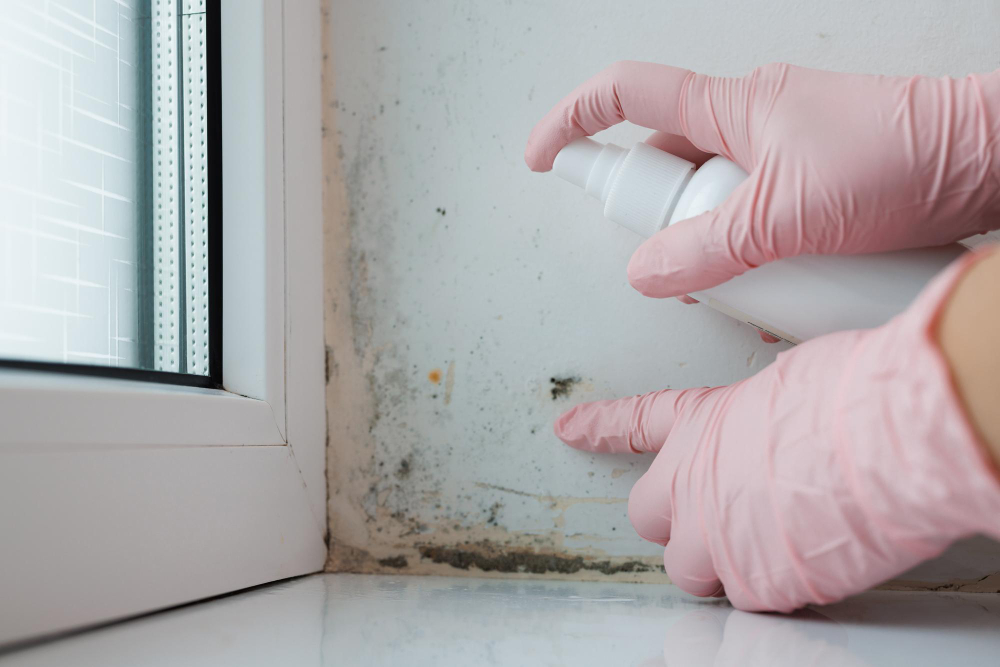 Treating mould on a wall beside a window frame